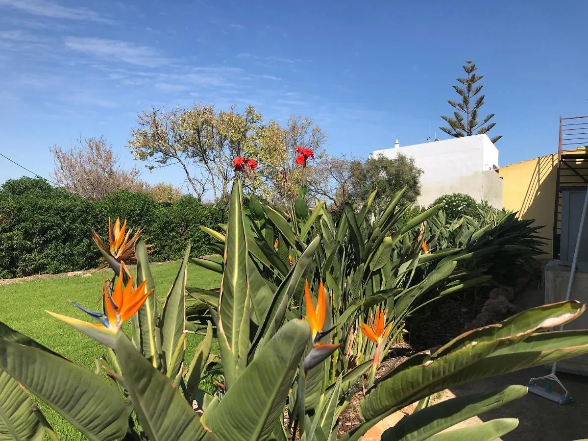 Holiday home Rustic Villa With Pool Near Olhao Moncarapacho